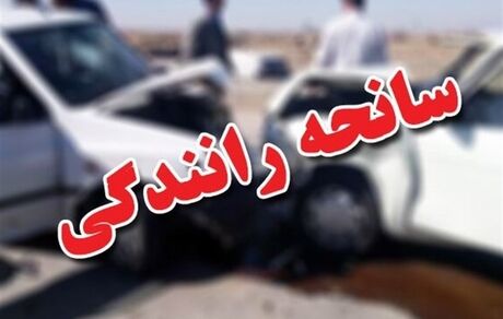 واژگونی خودروی حامل اتباع بیگانه با یک فوتی در بندرعباس