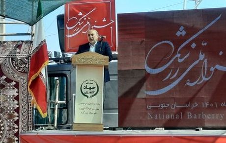 ایجاد ۴۰ مزرعه الگویی فناوری و نوآوری در کشور طی سال جاری