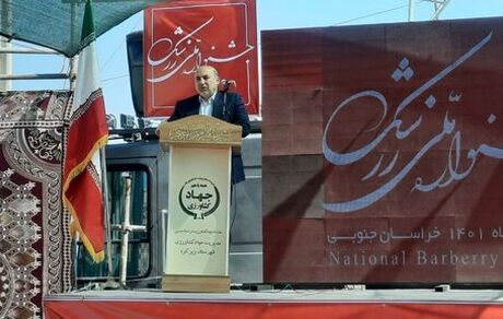 ایجاد ۴۰ مزرعه الگویی فناوری و نوآوری در کشور طی سال جاری