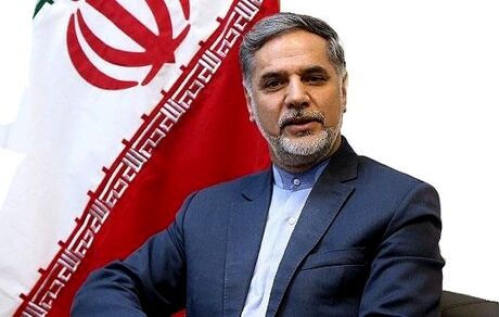 
نقوی حسینی: جهان اسلام با همه توان مقابل توطئه طرح معامله قرن ایستادگی کند
