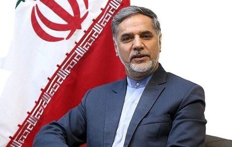 
نقوی حسینی: جهان اسلام با همه توان مقابل توطئه طرح معامله قرن ایستادگی کند
