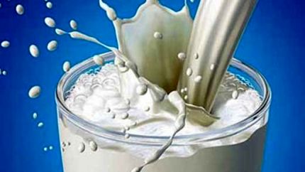 چه خبر از افزایش قیمت شیر