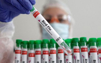تاکنون مورد انسانی آنفلوانزای پرندگان H5N1 در کشورمان گزارش نشده است
