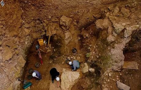 کشف تکه استخوان مربوط به فسیل یک میلیون و ۲۰۰ هزار سال قبل انسان در اروپا