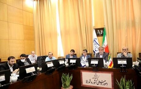 رفع ایرادات شورای نگهبان در طرح شفافیت قوای سه گانه در کمیسیون شوراها