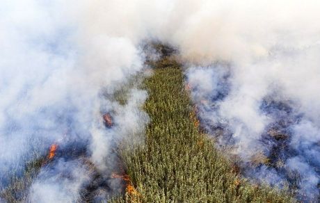 مهار ۶۰ درصدی آتش سوزی عمدی تالاب انزلی