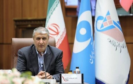 رییس سازمان انرژی اتمی ایران: متوقف نخواهیم شد