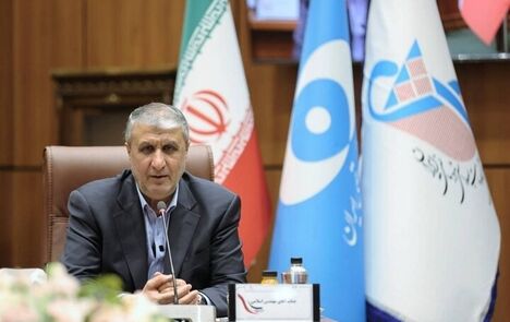 رییس سازمان انرژی اتمی ایران: متوقف نخواهیم شد