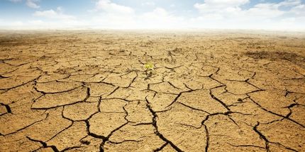 خشکسالی، ۳ هزار میلیارد تومان به محیط زیست کشور خسارت زد