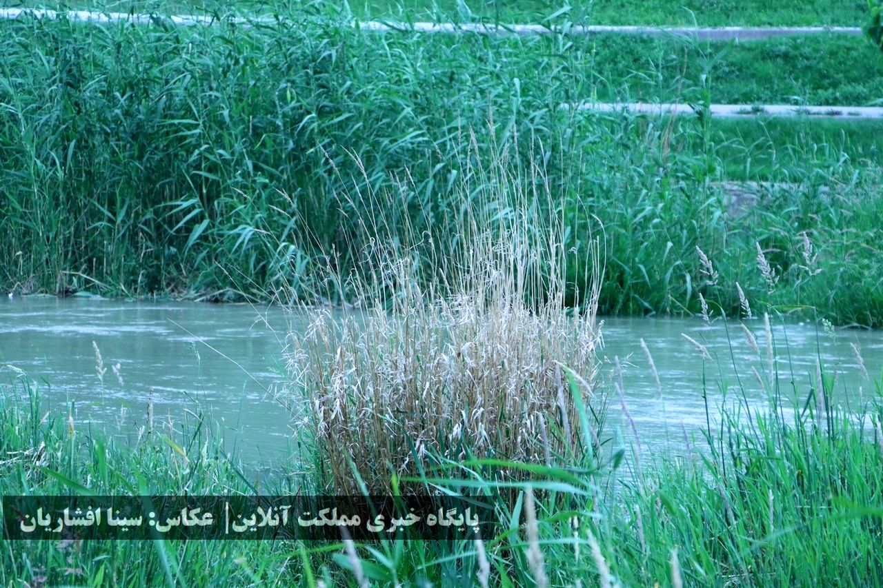 رودخانه‌ای به حال خود رهاشده در میان ارومیه