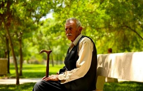 لزوم رفع تبعیض میان بازنشستگان همکار و غیرهمکار در تامین اجتماعی/ چرا کارکنان سازمان «تافته جدا بافته» هستند؟!