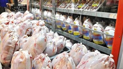 وعده گران نشدن قیمت گوشت مرغ برای شب عید
