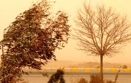 سال گذشته، ۲۳۸۲ میلیارد ریال برای مقابله با گردوغبار اختصاص یافت