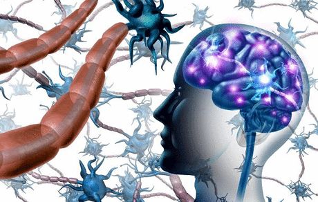 سلول‌هایی که برای مقابله با ام اس تا مغز سفر می‌کنند!