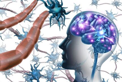سلول‌هایی که برای مقابله با ام اس تا مغز سفر می‌کنند!