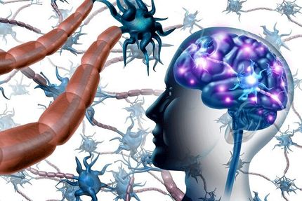 سلول‌هایی که برای مقابله با ام اس تا مغز سفر می‌کنند!