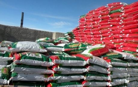 کوچک‌شدن اراضی کشاورزی، بهره‌وری را کاهش می‌دهد