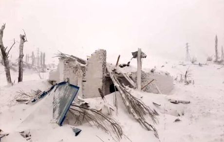 جان باختن ۱۶ نفر در تاجیکستان بدلیل بارش سنگین برف