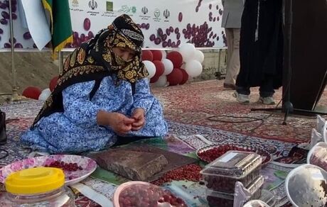 هشتمین جشنواره زغال‌اخته در کلیبر برگزار شد