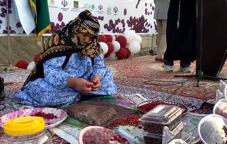 هشتمین جشنواره زغال‌اخته در کلیبر برگزار شد