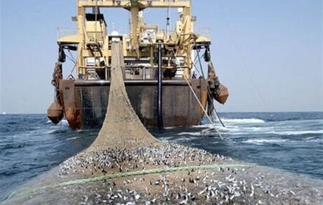 ممنوعیت صید ترال وارد فاز اجرایی شد