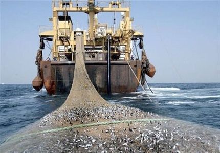 ممنوعیت صید ترال وارد فاز اجرایی شد