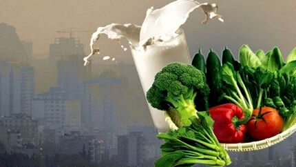 بهترین و بدترین غذا‌ها در هوای آلوده