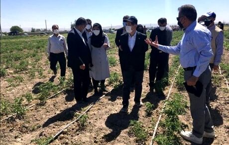 سفیر ژاپن در تهران: مدیریت منابع آب در ایران معضل جدی است