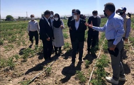 سفیر ژاپن در تهران: مدیریت منابع آب در ایران معضل جدی است