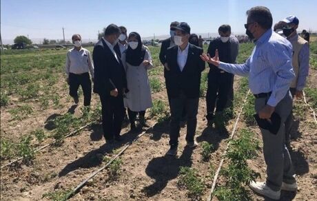 سفیر ژاپن در تهران: مدیریت منابع آب در ایران معضل جدی است