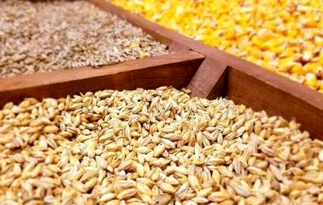 تنش لهستان و اوکراین شدت گرفت