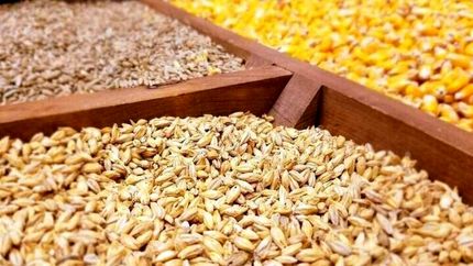 تنش لهستان و اوکراین شدت گرفت