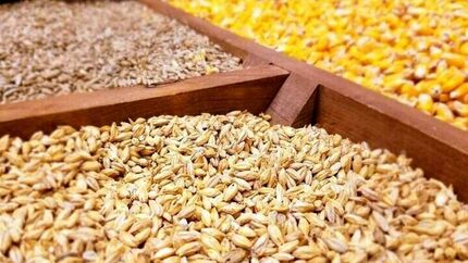 تنش لهستان و اوکراین شدت گرفت