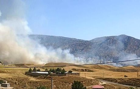 مهار آتش‌سوزی گسترده در مزارع گندم شهرستان چوار