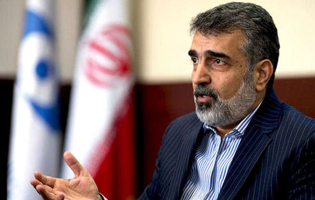 کمالوندی: خلاء نظارتی مورد ادعای آژانس مبنای حقوقی ندارد/ ایران پاسخ سوالات آژانس را داده است