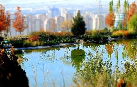 سنت‌شکنی بازار مسکن در ابتدای پاییز/ معاملات ملک اندکی تکان خورد