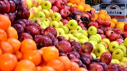 نیمی از مرکبات و سیب رختی در سردخانه‌ها دپو شده‌است