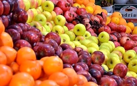 نیمی از مرکبات و سیب رختی در سردخانه‌ها دپو شده‌است