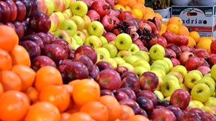 نیمی از مرکبات و سیب رختی در سردخانه‌ها دپو شده‌است