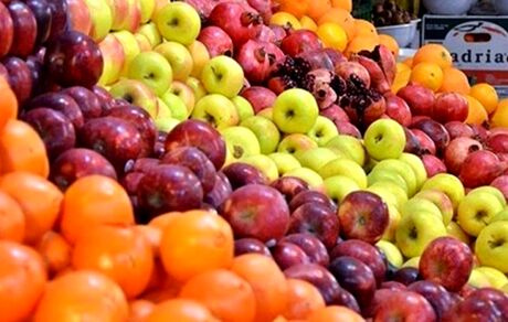 نیمی از مرکبات و سیب رختی در سردخانه‌ها دپو شده‌است