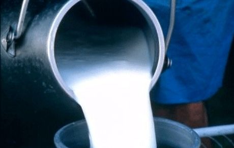 احتمال اصلاح نرخ شیرخام در روزهای آینده