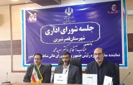 سعید محمد: پیگیر واردات خودروهای برقی هستیم