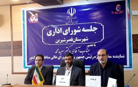 سعید محمد: پیگیر واردات خودروهای برقی هستیم