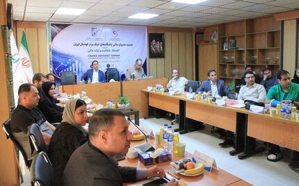 آیین نامه انضباط مالی جایگزین قوانین مربوط به سقف بودجه فوتبال شد