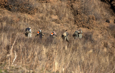 آتش‌سوزی به جنگل‌های روستای کالج شهر نور رسید