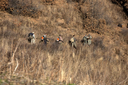 آتش‌سوزی به جنگل‌های روستای کالج شهر نور رسید