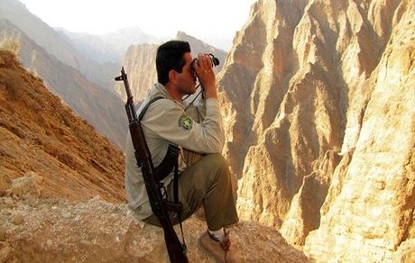 سال آینده، ۲۱۰ نیروی جدید با آزمون در سازمان محیط زیست جذب می‌شود
