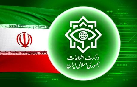 وزارت اطلاعات از دستگیری سرشاخه‌های قیمت گذاری جعلی ارز‌های خارجی خبرداد