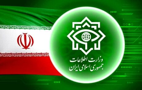 وزارت اطلاعات از دستگیری سرشاخه‌های قیمت گذاری جعلی ارز‌های خارجی خبرداد