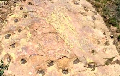 ردپاهای دایناسور ۱۵۰ میلیون ساله با پای لنگ در آمریکا کشف شد